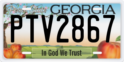 GA license plate PTV2867