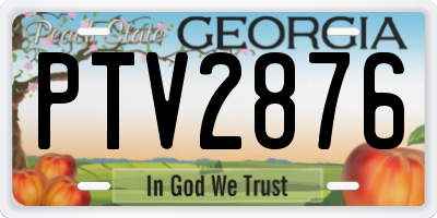 GA license plate PTV2876