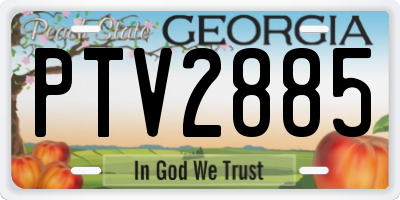 GA license plate PTV2885