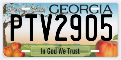 GA license plate PTV2905