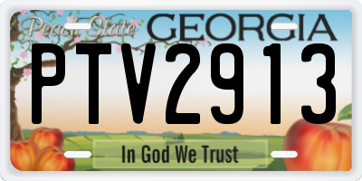 GA license plate PTV2913