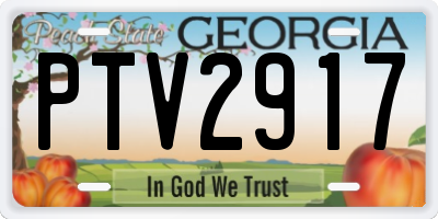 GA license plate PTV2917