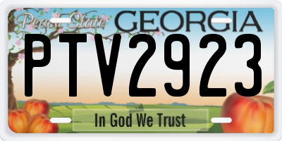 GA license plate PTV2923