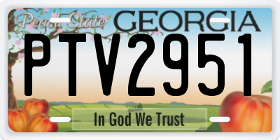 GA license plate PTV2951