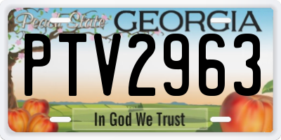 GA license plate PTV2963