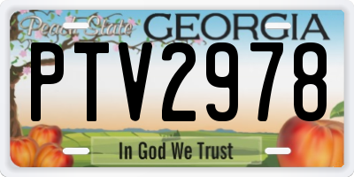 GA license plate PTV2978