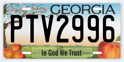 GA license plate PTV2996