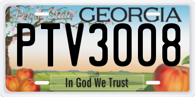 GA license plate PTV3008
