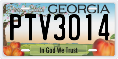 GA license plate PTV3014