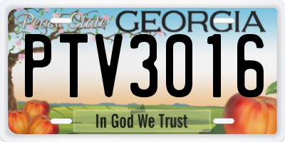 GA license plate PTV3016