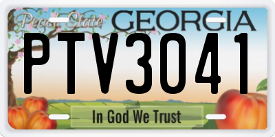 GA license plate PTV3041