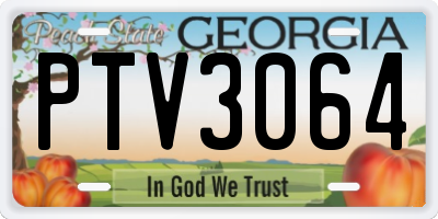 GA license plate PTV3064
