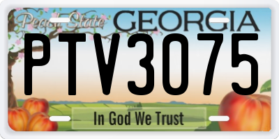 GA license plate PTV3075