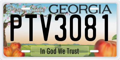 GA license plate PTV3081