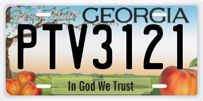 GA license plate PTV3121