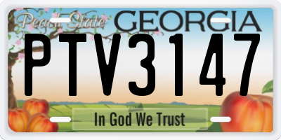 GA license plate PTV3147