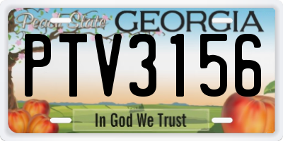 GA license plate PTV3156