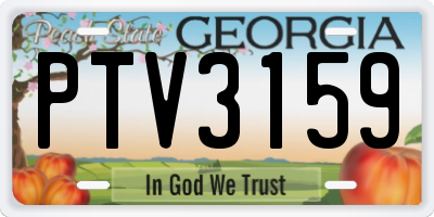GA license plate PTV3159