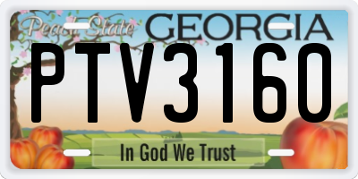 GA license plate PTV3160