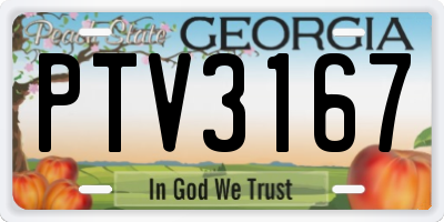 GA license plate PTV3167