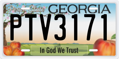 GA license plate PTV3171