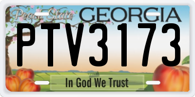 GA license plate PTV3173