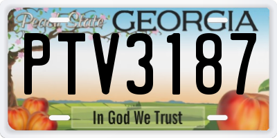 GA license plate PTV3187