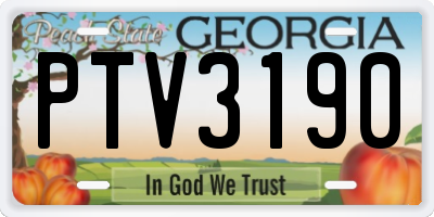 GA license plate PTV3190