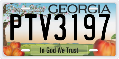 GA license plate PTV3197