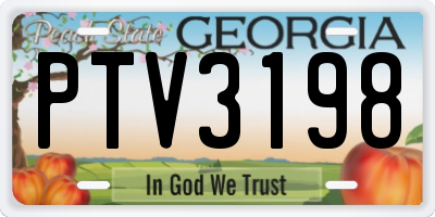 GA license plate PTV3198