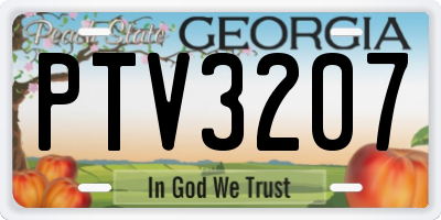 GA license plate PTV3207