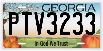 GA license plate PTV3233