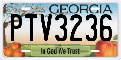 GA license plate PTV3236