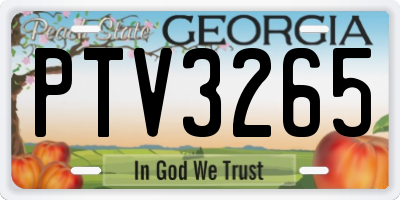 GA license plate PTV3265