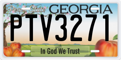 GA license plate PTV3271