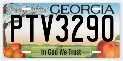 GA license plate PTV3290