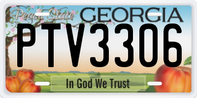 GA license plate PTV3306