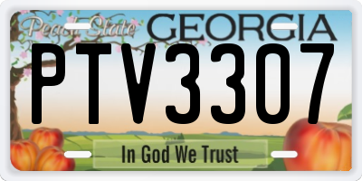 GA license plate PTV3307