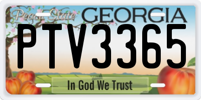 GA license plate PTV3365