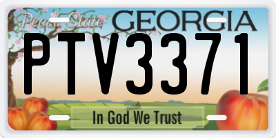 GA license plate PTV3371