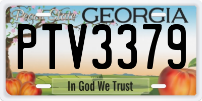GA license plate PTV3379