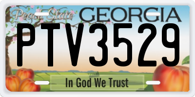 GA license plate PTV3529