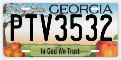GA license plate PTV3532