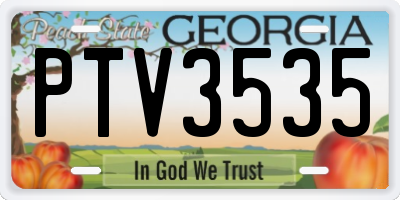 GA license plate PTV3535