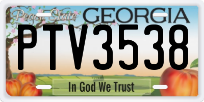 GA license plate PTV3538