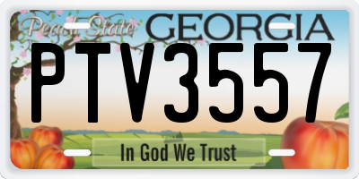 GA license plate PTV3557