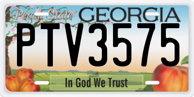 GA license plate PTV3575