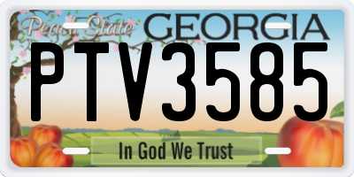 GA license plate PTV3585