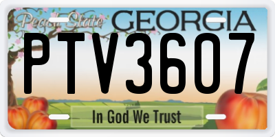 GA license plate PTV3607