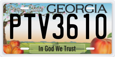 GA license plate PTV3610
